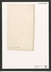 Nitzschia longissima (Breb.) Ralfs (de-Toni-Nr.: Genus 47, Species 2146) Zeichnungen Sammlung Grunow (NHMW-BOT-W0372342)